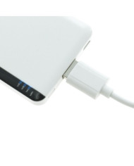 Bateria Auxiliar Vilek