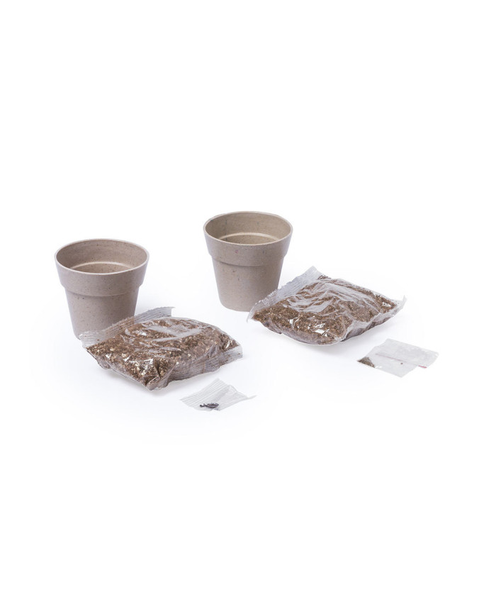 Set Vaso Nertel