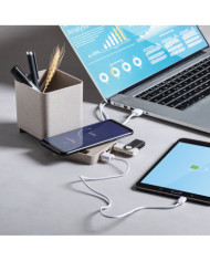 Porta-Lápis Multifunção Dowex