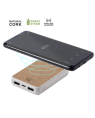 Bateria Auxiliar Merak