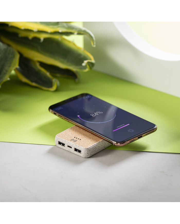 Bateria Auxiliar Merak