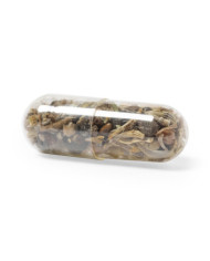 Cápsula Sementes Biyok