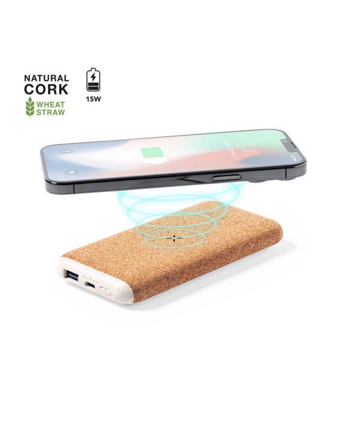 Bateria Auxiliar Limerick