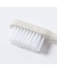 Escova Dentes Duncan