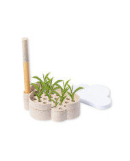 Porta-Notas Semente Lezo