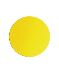 Pasta Porta-Documentos Bonx