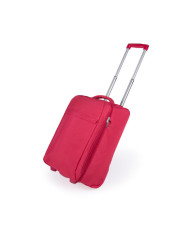 Trolley Dobrável Dunant