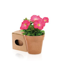 Set Jogos Habilidade Genium