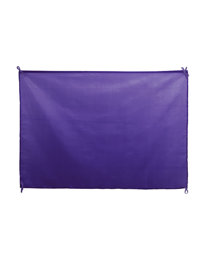 Bandeira Dambor