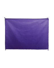 Bandeira Dambor