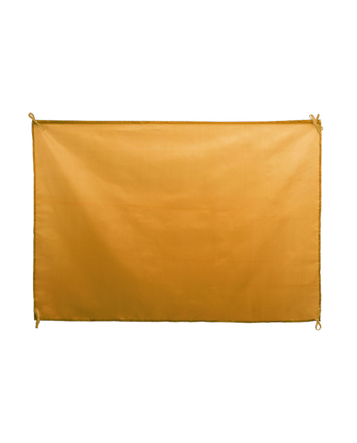 Bandeira Dambor