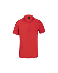 Polo Dekrom