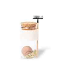 Bombon Sementes Winsu