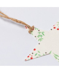 Enfeite Sementes Boster